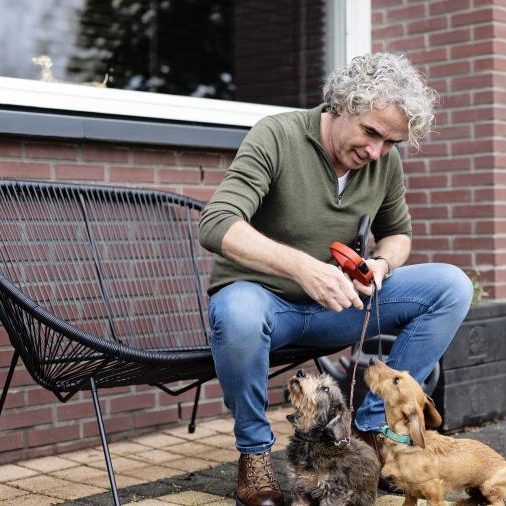 Man zit op een bankje en kijkt naar twee kleine honden
