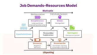 schematische weergave van het Job Demands-Resources Model