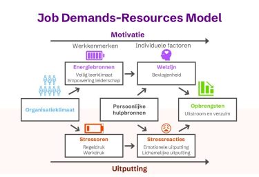 schematische weergave van het Job Demands-Resources Model